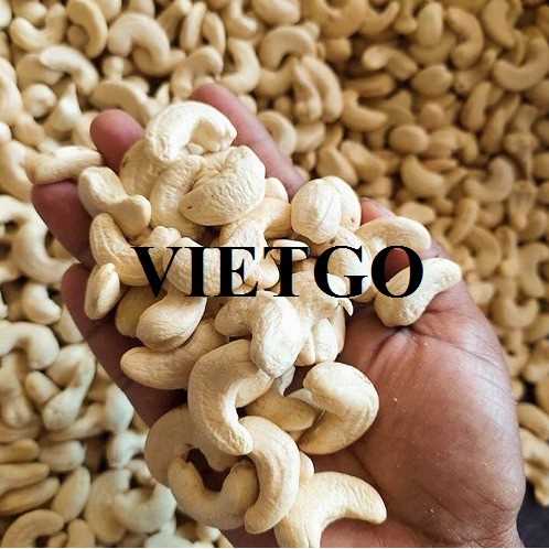 Cơ hội xuất khẩu hạt điều đến thị trường Thổ Nhĩ Kỳ