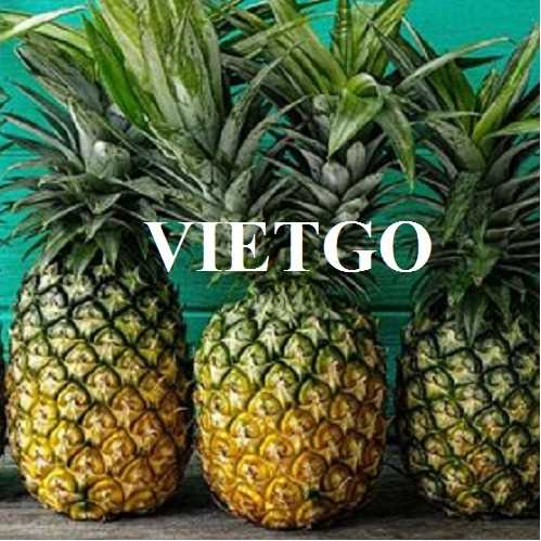 (Gấp) Thương vụ xuất khẩu dứa tươi sang thị trường Ý