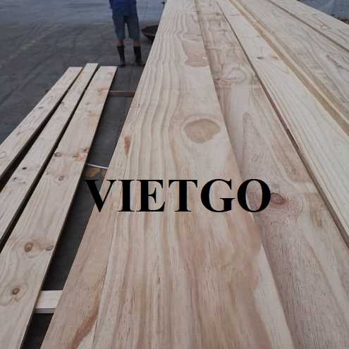 Thương vụ xuất khẩu gỗ thông xẻ sang thị trường Ấn Độ