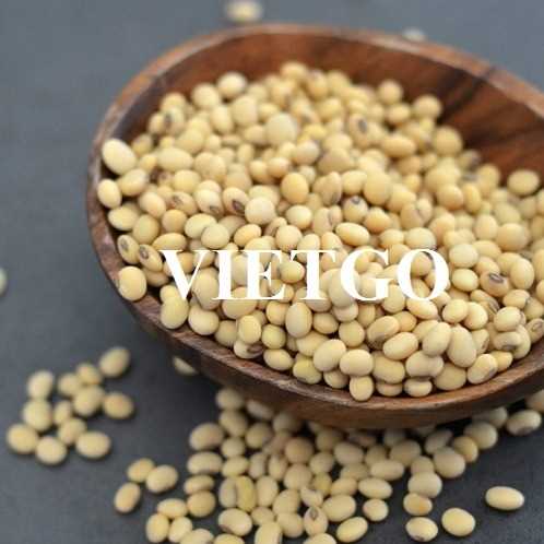 Cơ hội hợp tác xuất khẩu đậu nành sang thị trường Trung Quốc