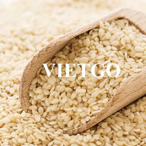 Cơ hội xuất khẩu hạt mè đầy hấp dẫn sang thị trường Thổ Nhĩ Kỳ