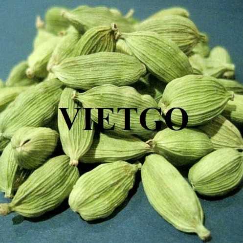 Cơ hội xuất khẩu thảo quả sang thị trường Ấn Độ