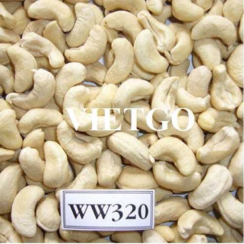 Cơ hội hợp tác xuất khẩu hạt điều sang thị trường Ấn Độ