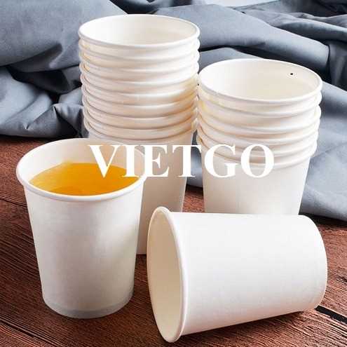 Cơ hội xuất khẩu cốc giấy sang thị trường Lybia