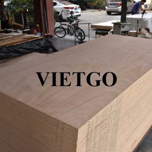 Thương vụ xuất khẩu gỗ dán sang thị trường Ấn Độ 