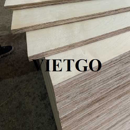 Thương vụ xuất khẩu gỗ dán LVL và LVB sang thị trường Malaysia