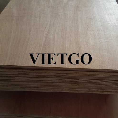 Thương vụ xuất khẩu gỗ dán sang thị trường Ấn Độ