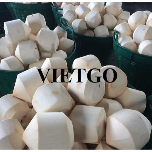 Cơ hội xuất khẩu dừa tươi đến thị trường UAE