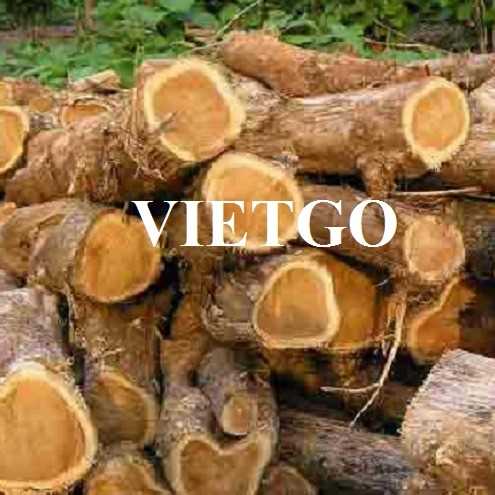 Thương vụ xuất khẩu gỗ teak tròn sang thị trường Ấn Độ