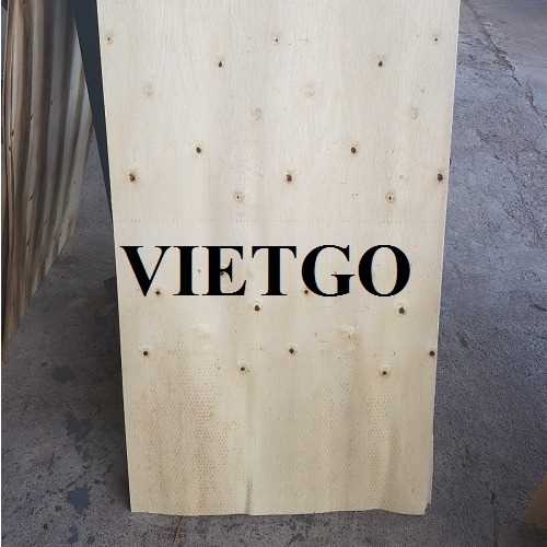 Thương vụ xuất khẩu sản phẩm ván bóc đến thị trường Ấn Độ