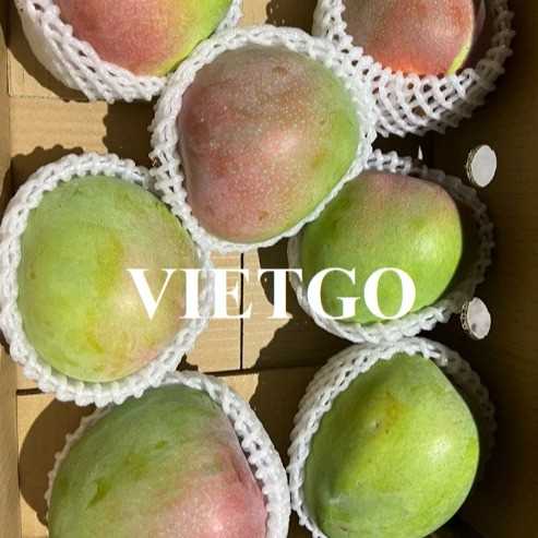 Cơ hội xuất khẩu xoài tươi sang thị trường Hồng Kông và Trung Quốc