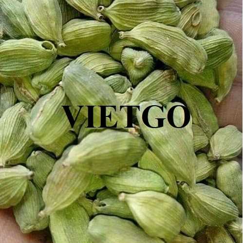 Cơ hội xuất khẩu sản phẩm thảo quả sang thị trường Ấn Độ