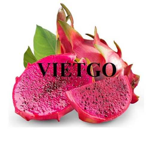 Cơ hội hợp tác xuất khẩu thanh long sang thị trường Trung Quốc