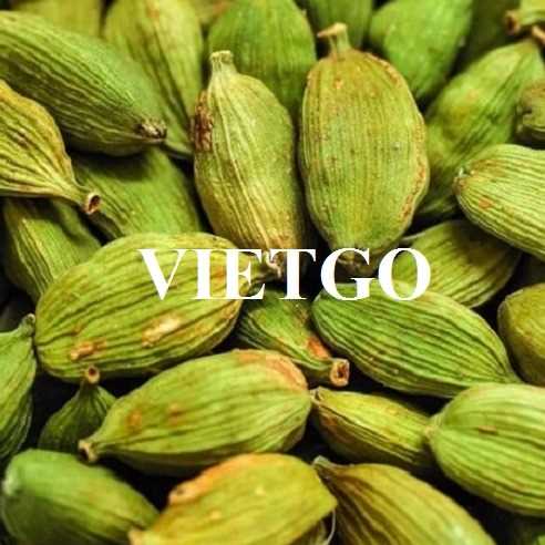 Cơ hội xuất khẩu thảo quả sang thị trường Afghanistan