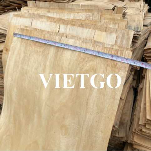 Thương vụ xuất khẩu ván bóc sang thị trường Ấn Độ 