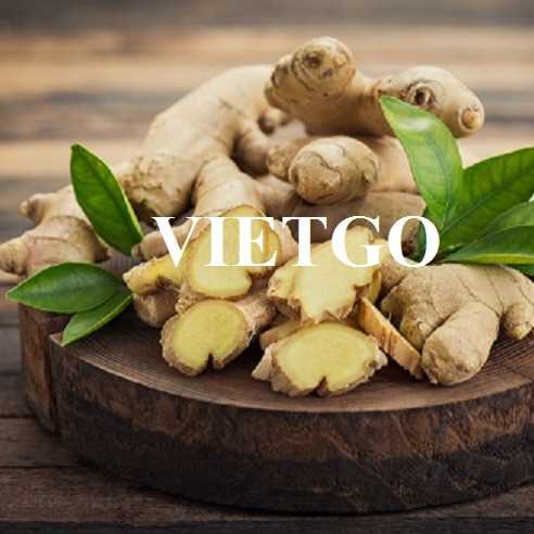 Cơ hội hợp tác xuất khẩu gừng sang thị trường Pakistan