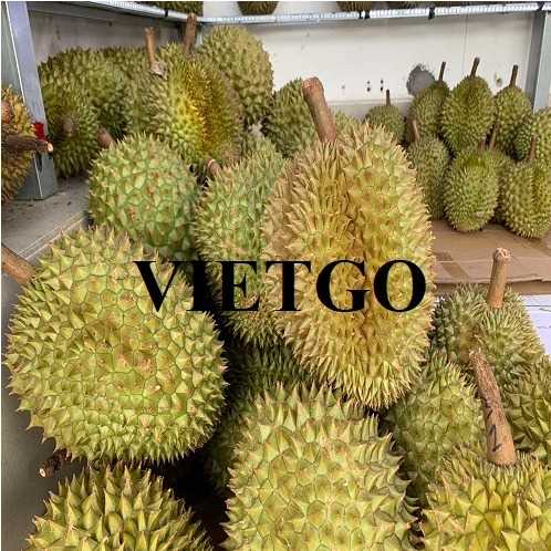 Cơ hội hợp tác xuất khẩu sầu riêng sang thị trường Trung Quốc