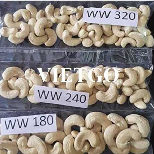 Cơ hội hợp tác xuất khẩu hạt điều đến thị trường Ấn Độ