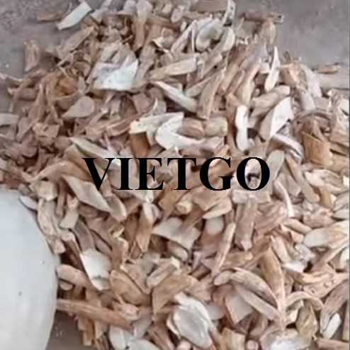 Thương vụ xuất khẩu sắn lát sang thị trường Trung Quốc 