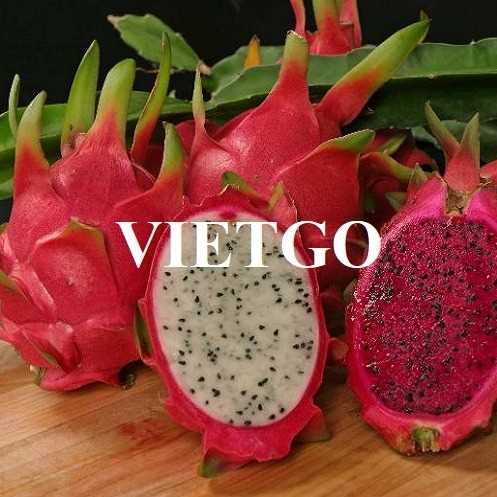 Cơ hội hợp tác xuất khẩu thanh long sang thị trường Pakistan