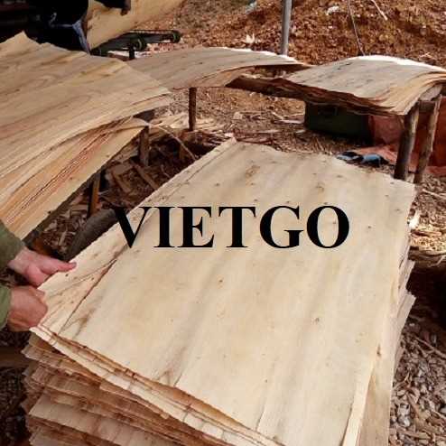 Thương vụ xuất khẩu ván bóc sang thị trường Ấn Độ