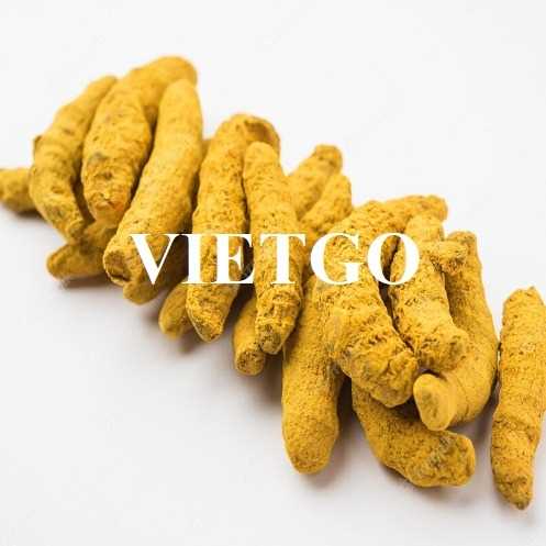 Cơ hội hợp tác xuất khẩu nghệ sang thị trường Ấn Độ