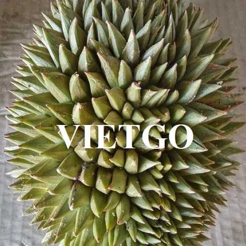 Cơ hội hợp tác xuất khẩu sầu riêng sang thị trường Ai Cập