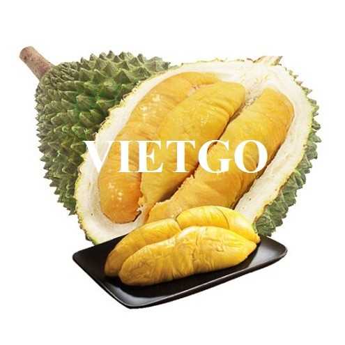 Cơ hội hợp tác xuất khẩu sầu riêng đến thị trường Trung Quốc