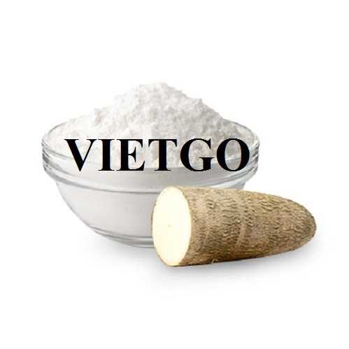 Cơ hội hợp tác xuất khẩu tinh bột sắn sang thị trường Qatar