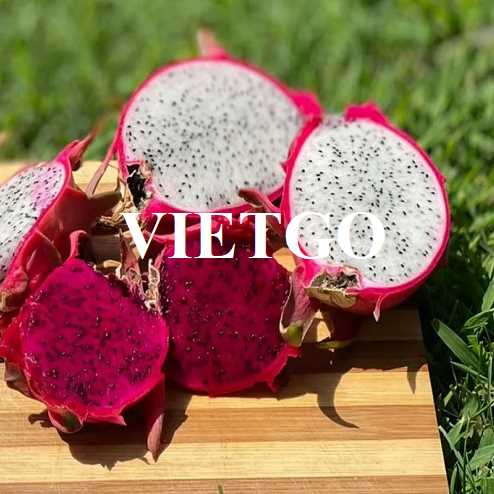 Cơ hội hợp tác xuất khẩu thanh long sang thị trường Hồng Kông