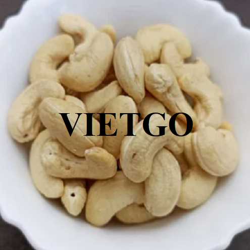 Thương vụ xuất khẩu hạt điều sang thị trường Hy Lạp 