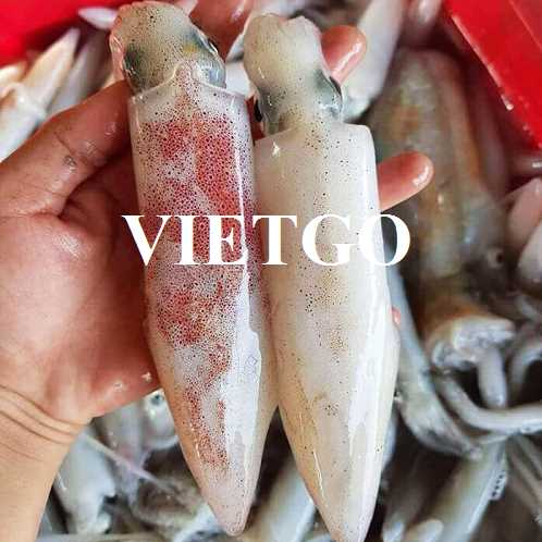 Cơ hội giao thương xuất khẩu mực ống sang thị trường Thái Lan