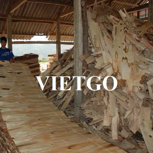 Thương vụ xuất khẩu ván bóc sang thị trường Ấn Độ 