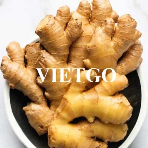 Cơ hội hợp tác xuất khẩu gừng tươi đến thị trường Bangladesh
