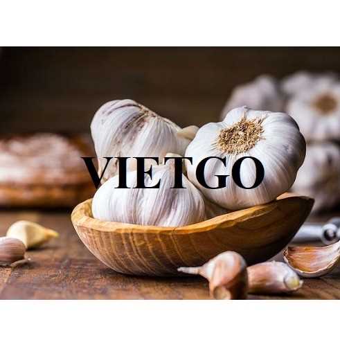 Cơ hội hợp tác xuất khẩu tỏi trắng sang thị trường Anh