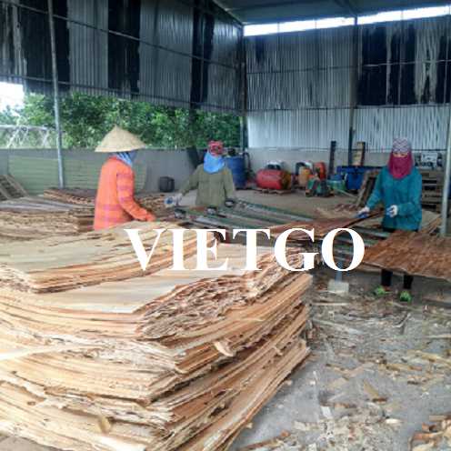 Thương vụ xuất khẩu ván bóc sang thị trường Ấn Độ 