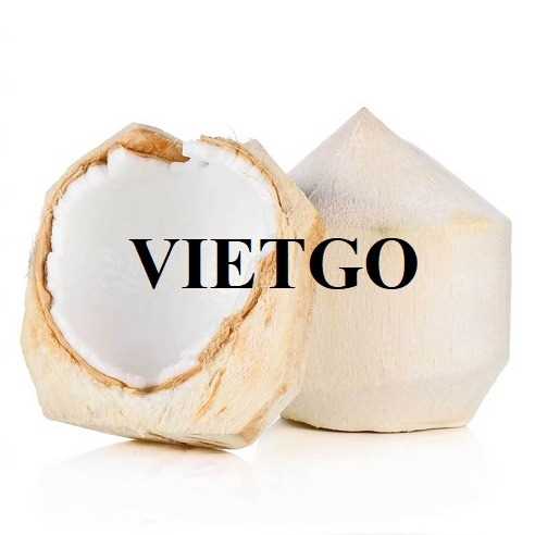 Thương vụ xuất khẩu sản phẩm dừa sang thị trường Trung Quốc