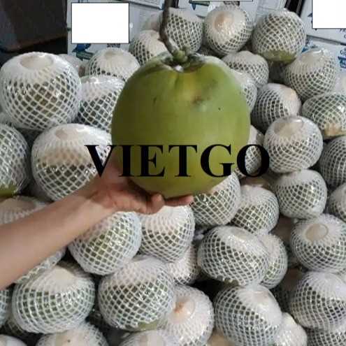 Cơ hội xuất khẩu dừa sang thị trường Iran
