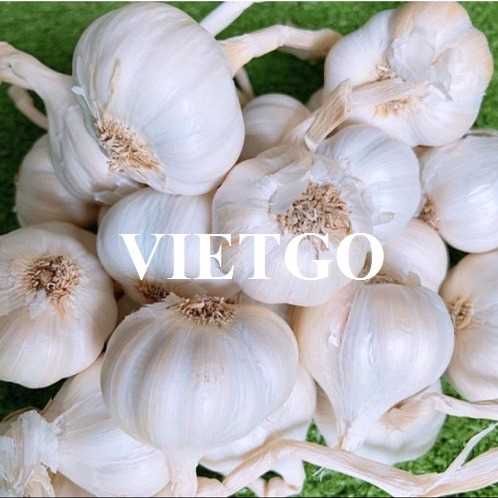 Cơ hội xuất khẩu tỏi đến thị trường Bangladesh