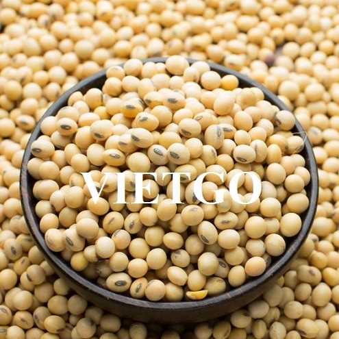 Thương vụ xuất khẩu đậu nành sang thị trường Iran