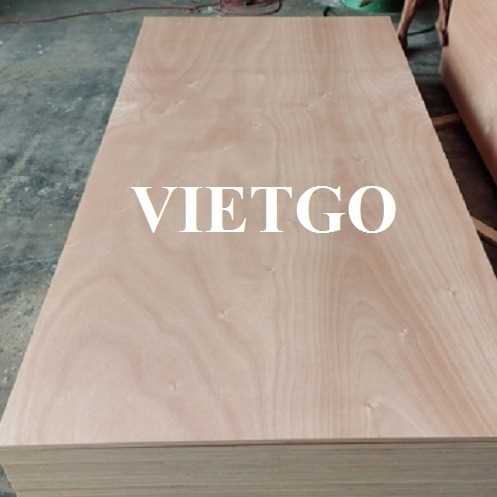 Thương vụ xuất khẩu gỗ dán đến thị trường Ấn Độ