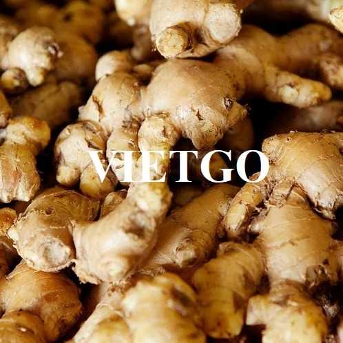 Cơ hội xuất khẩu gừng đến thị trường Bangladesh