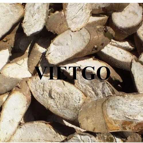 Cơ hội hợp tác xuất khẩu sắn lát đến thị trường Trung Quốc