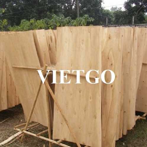 Thương vụ xuất khẩu ván bóc bạch đàn sang thị trường Ấn Độ