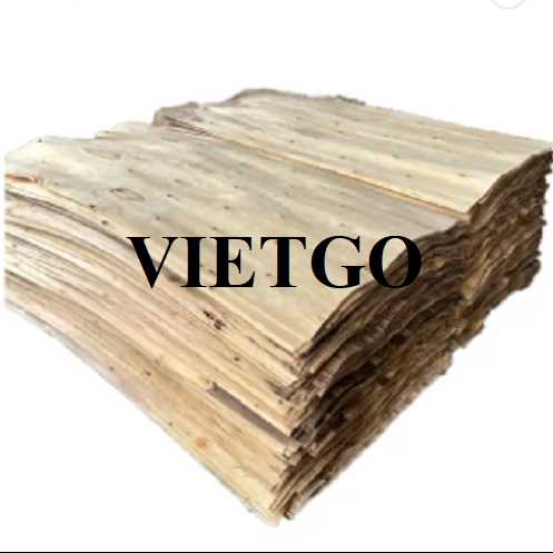 Thương vụ xuất khẩu ván bóc gỗ bạch đàn sang thị trường Ấn Độ