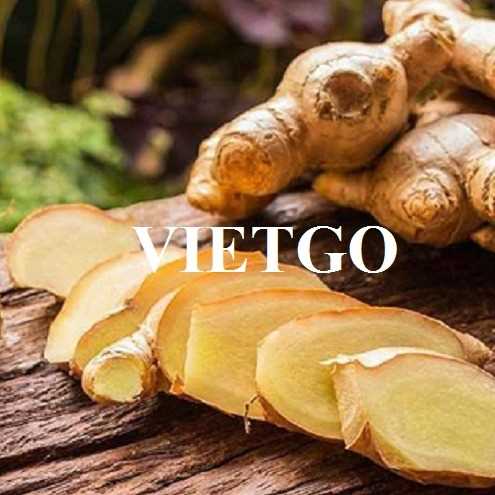 Cơ hội hợp tác xuất khẩu gừng sang thị trường UAE