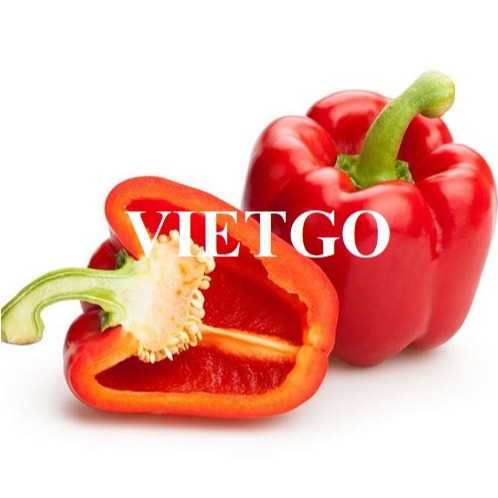 Cơ hội xuất khẩu ớt sang thị trường Nga