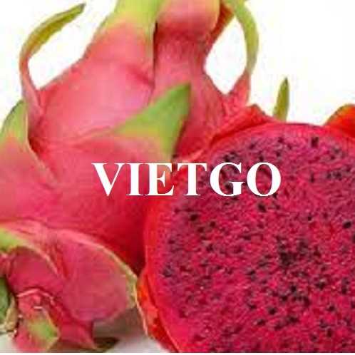 Cơ hội hợp tác xuất khẩu thanh long đến thị trường Ấn Độ