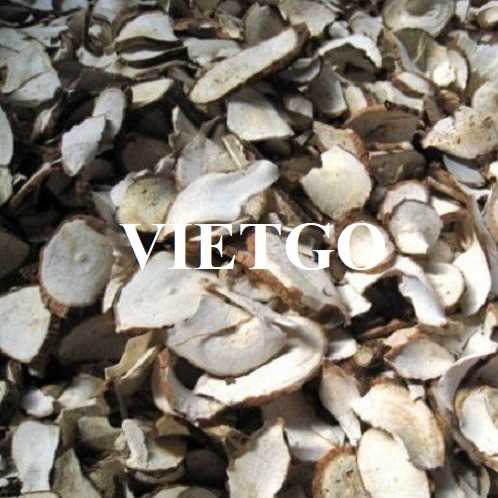 Cơ hội hợp tác xuất khẩu sản phẩm sắn lát sang thị trường Trung Quốc