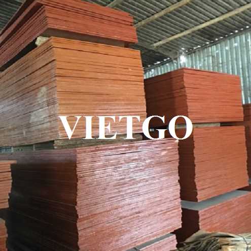 Thương vụ xuất khẩu gỗ dán phủ phim sang thị trường Ấn Độ 